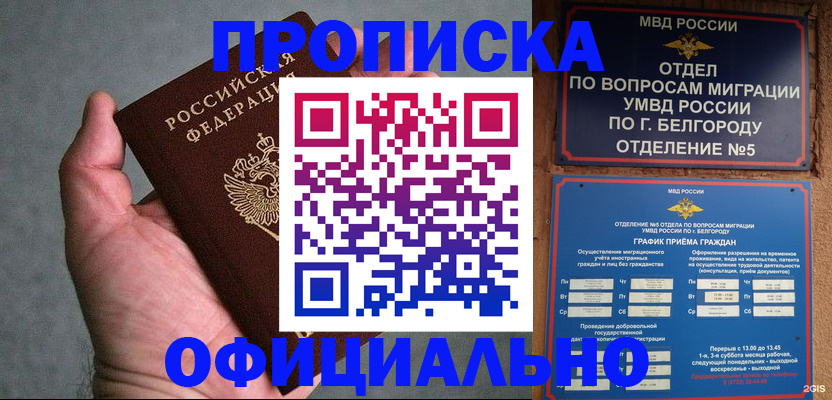 прописка от собственника в Королёве